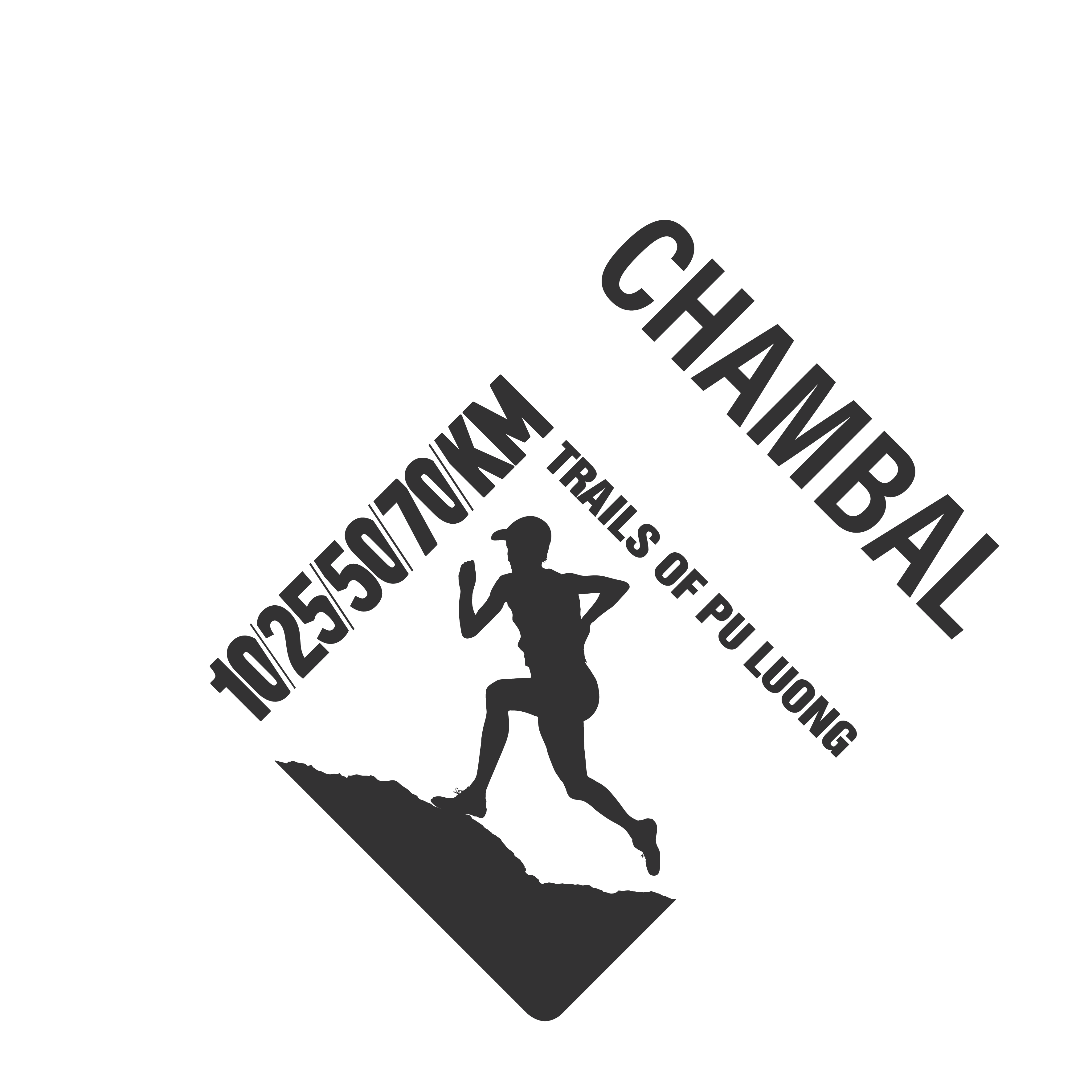 Chambal Marathon runner